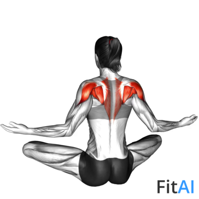 Seated Pulse Back Squeeze