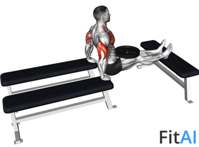 Weighted Three Bench Dips