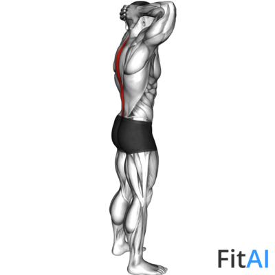 Spine Backbend Stretch