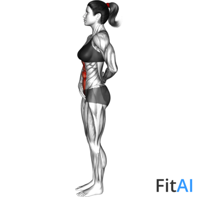 Standing Abdominal Vacuum