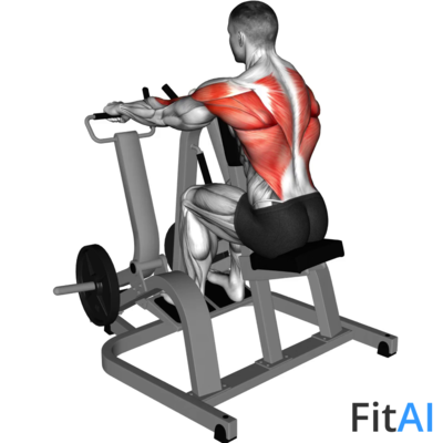 Lever Pronated-Grip Seated Row (Plate)