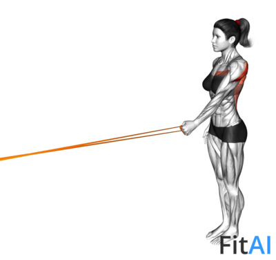 Resistance Band Standing One Arm Lateral Shoulder Extension