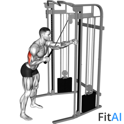 Cable One Arm Triceps Pushdown (Rope)