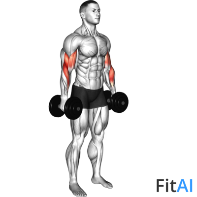 Dumbbell Standing Biceps Curl