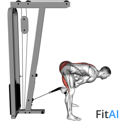 Cable Pull Through (Rope)