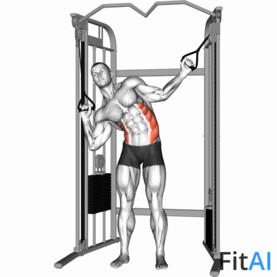 Cable Standing Serratus (Obliques) crunch