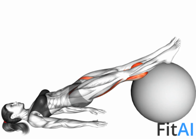Leg Curl (on stability ball)