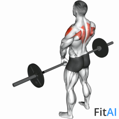 Barbell Upright Row