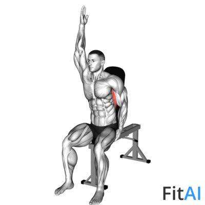 Seated Lower Back Stretch