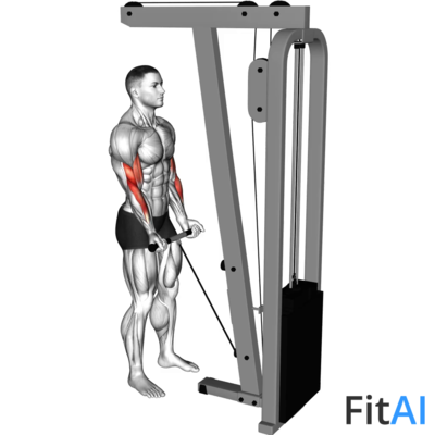 Cable Close-Grip Curl