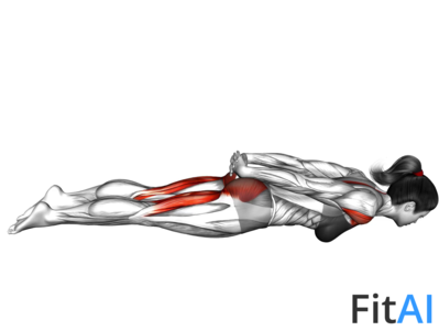 Locust Pose alternative