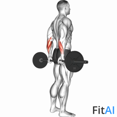 Barbell Standing Back Wrist Curl