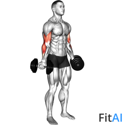 Dumbbell Standing Inner Biceps Curl