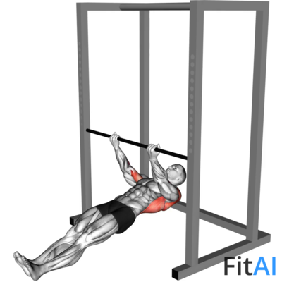 Underhand-Grip Inverted Back Row