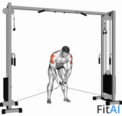 Cable Crossover Reverse Fly