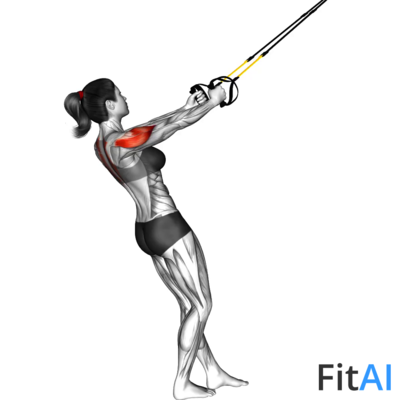 Suspender Reverse Fly