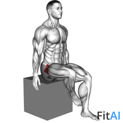 Hip - Medial Rotation (Internal Rotation)