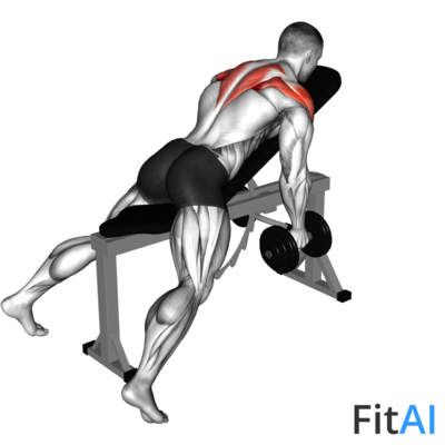 Dumbbell Reverse Fly