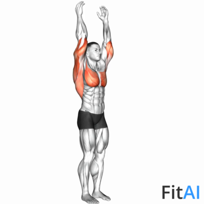 Shoulder - Extension