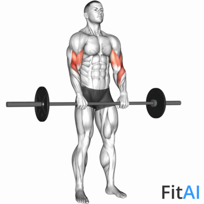 Barbell Reverse Curl