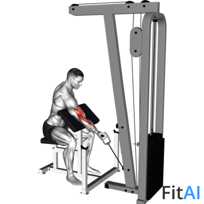 Cable One Arm Preacher Curl