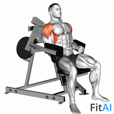 Lever Lateral Raise (Plate)