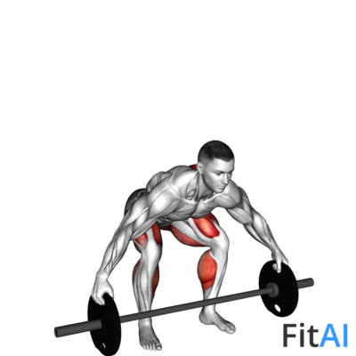 Barbell Reeves Deadlift