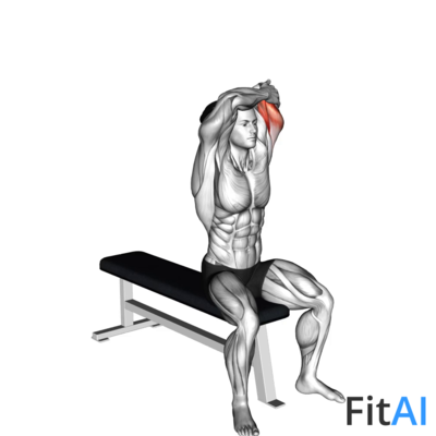 Dumbbell Seated One Arm Triceps Extension (left)