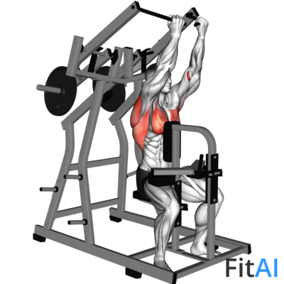 Lever Reverse-Grip Lateral Pulldown (Plate)