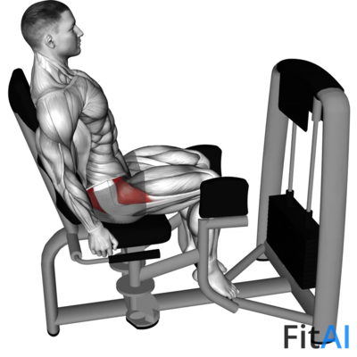 Lever Seated Hip Abduction