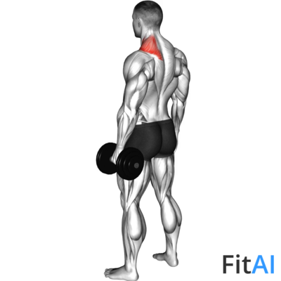 Dumbbell One Arm Shrug