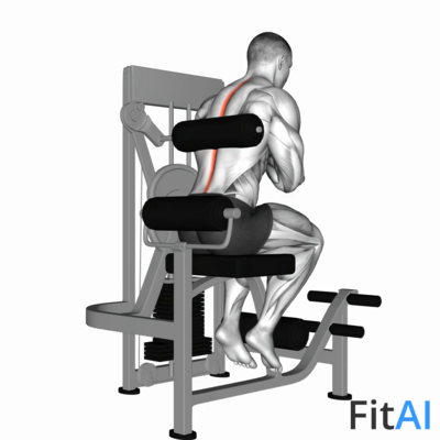 Lever Back Extension