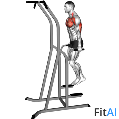 Chest Dip (on dip pull-up cage)