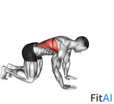 Kneeling Lat Stretch