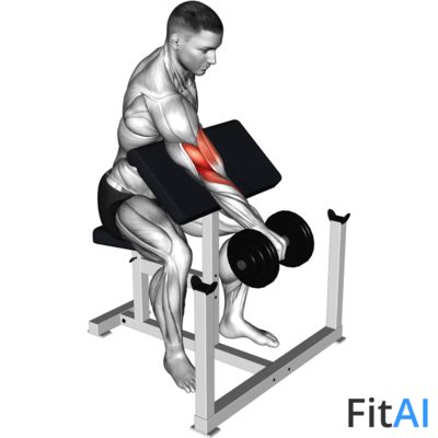 Dumbbell One Arm Reverse Preacher Curl