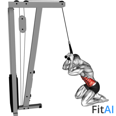 Cable Kneeling Crunch