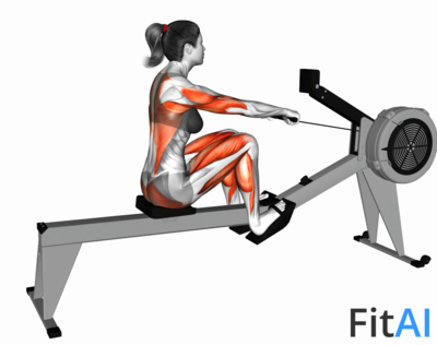 Rowing Straight Back