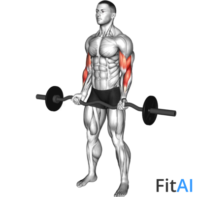 EZ-Barbell Curl