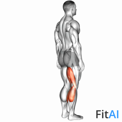 Knee - Flexion