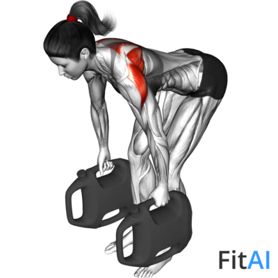 Bottle Weighted Bent-Over Reverse Fly