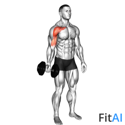 Dumbbell One Arm Low Fly