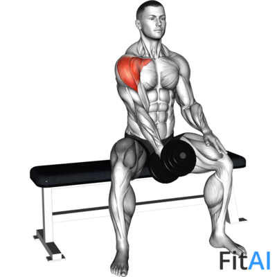 Dumbbell Seated One Arm Front Raise