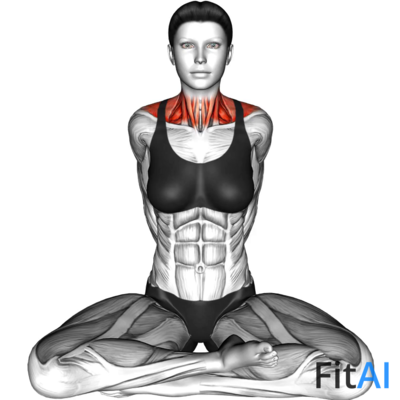 Sitting Side Neck Stretch