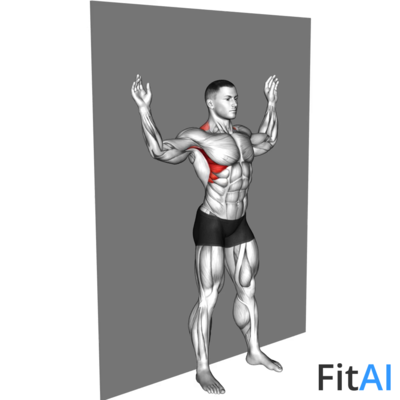 Scapular Slide Back to Wall