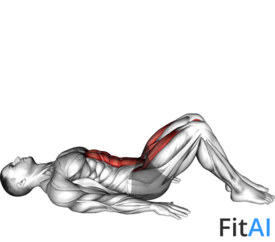 Lying Leg Raise (Modified)