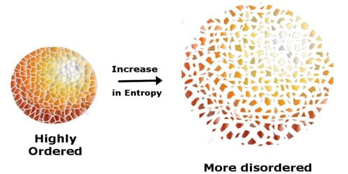 https://firebasestorage.googleapis.com/v0/b/fiveable-92889.appspot.com/o/images%2F-Akk0fEY3o6c0.jpg?alt=media&token=0a4060fe-870a-439b-9993-64d824365150