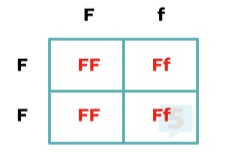 https://firebasestorage.googleapis.com/v0/b/fiveable-92889.appspot.com/o/images%2F-mbRwSfYt6LlM.png?alt=media&token=bfc932cd-e179-47b8-93eb-9686179bd9b3