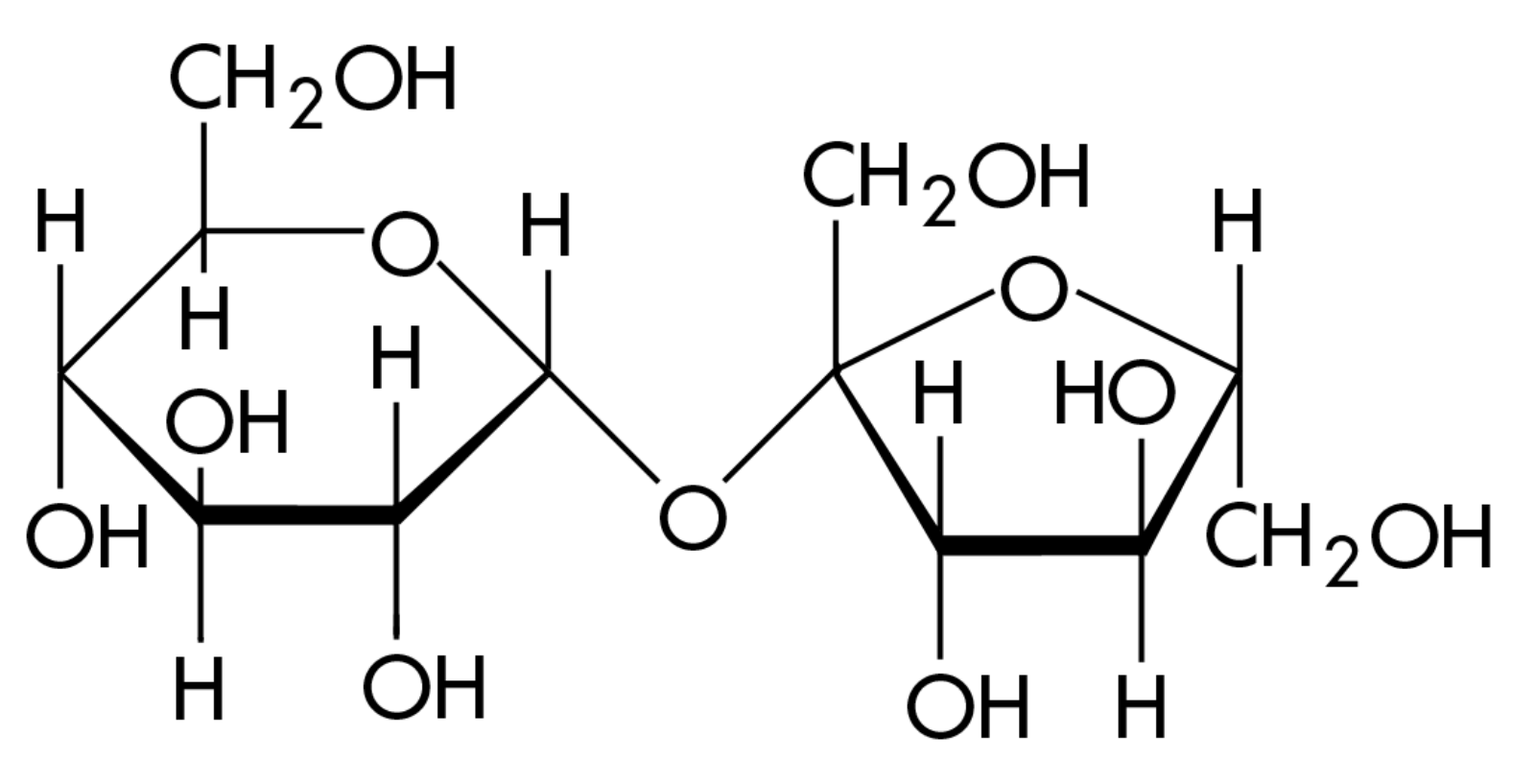 https://firebasestorage.googleapis.com/v0/b/fiveable-92889.appspot.com/o/images%2F1600px-Sucrose_structure_formula_inkscape.png?alt=media&token=d9fdd291-d608-479c-83e4-6dd4e45dfbe7