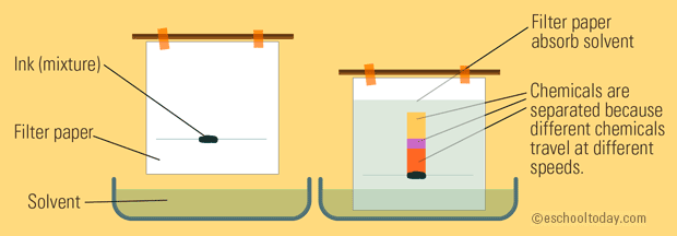 https://firebasestorage.googleapis.com/v0/b/fiveable-92889.appspot.com/o/images%2Fchromatography-diagram.png?alt=media&token=a9f90495-7788-406f-9f66-ae3d390abc72