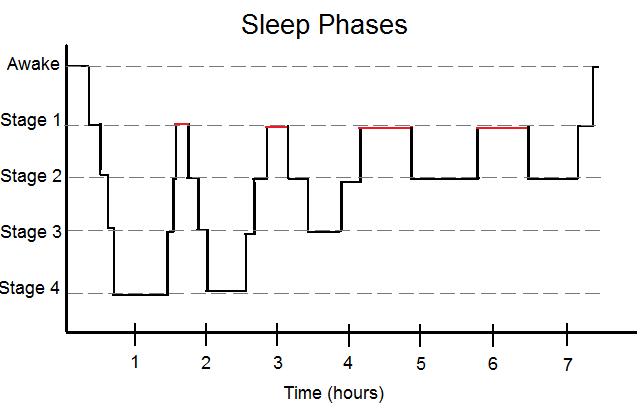 psychology sleep assignment